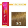 Color Touch 8/3 Rich Naturals hellblond gold